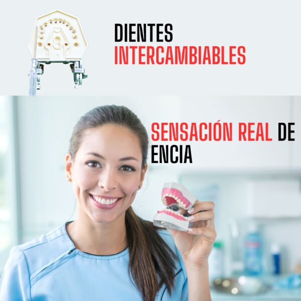 modelo-de-iborina-de-estudio-blackfriday-deposito-dental-ecuador.